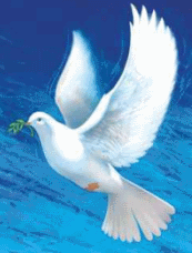 Dove of Peace